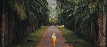 Peradeniya Botanical Garden