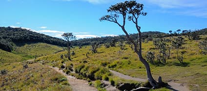 Horton Plains