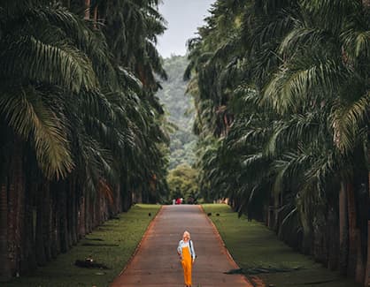 Peradeniya Botanical Garden